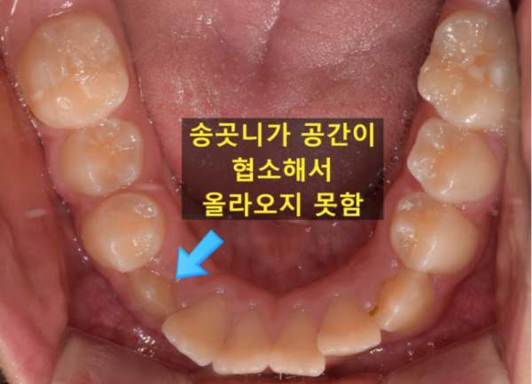e74de5845106e9b433957911d59599b9_1625672042_778.png