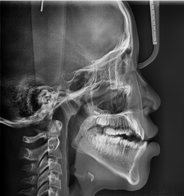 186c88f41562231111da3f29339b9092_1651247618_1902.png